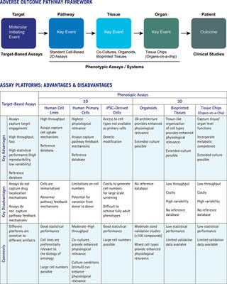 Human Cell-Based in vitro Phenotypic Profiling for Drug Safety-Related Attrition